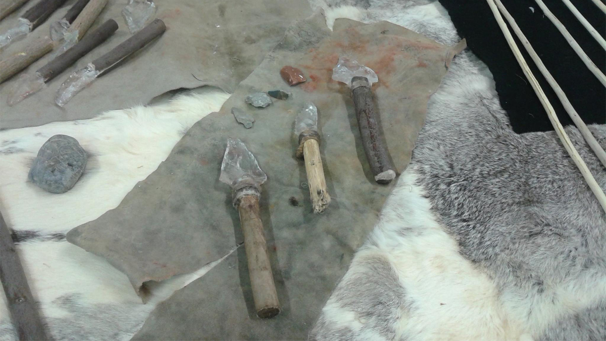 Le Notti dell'Archeologia ai Musei Civici di Villa Paolina a Viareggio